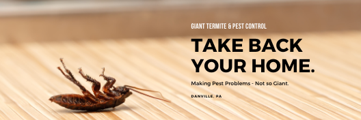 Pest control services in Danville PA